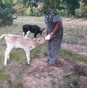 Meet your Posher, Rose